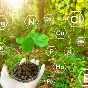 FERTILIZER1