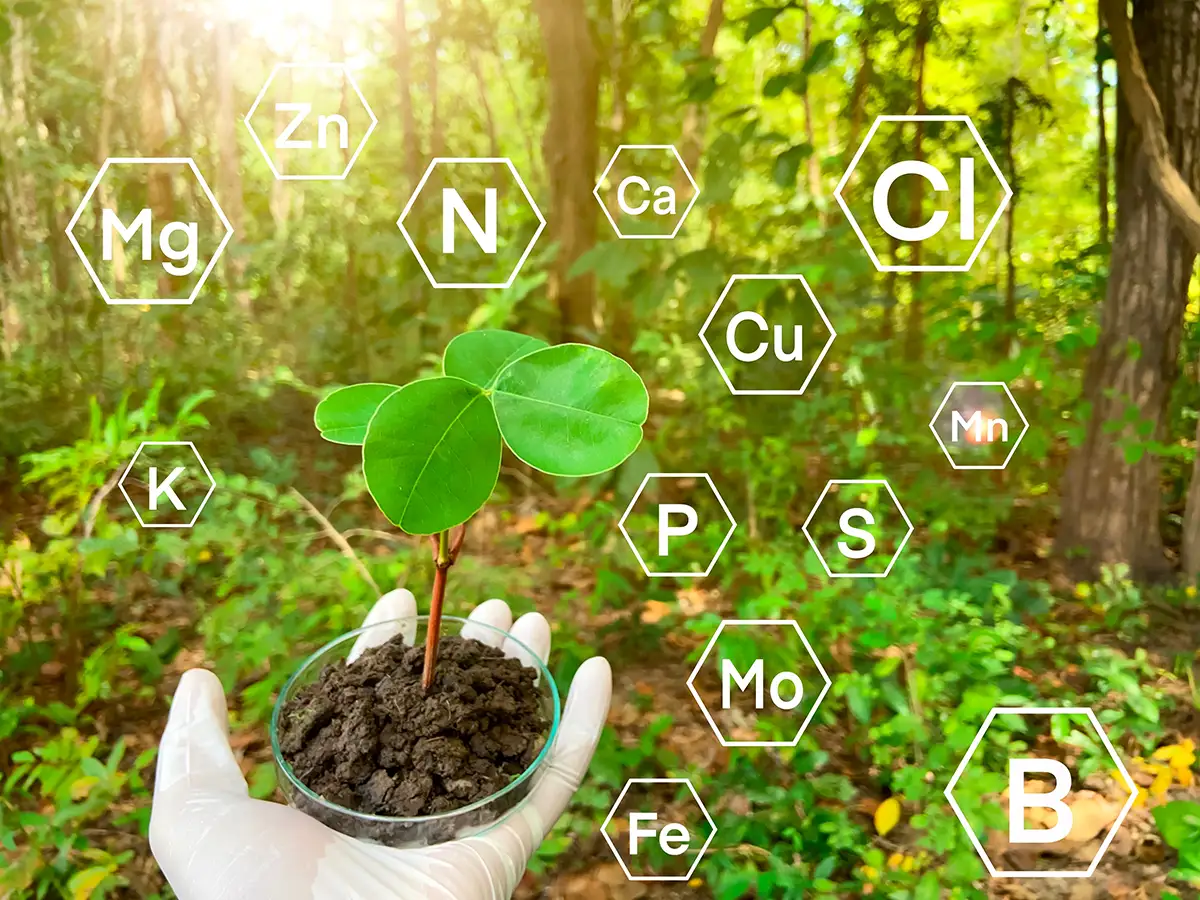 FERTILIZER1
